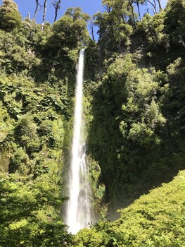 pucon