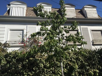 lindas casas para grupos y familias