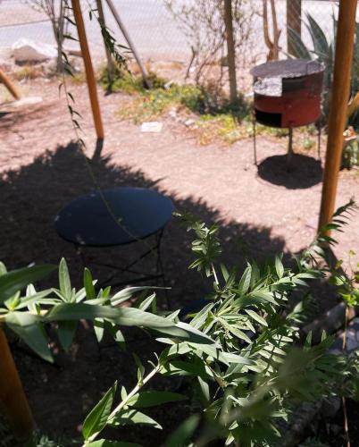 hostal alyaras