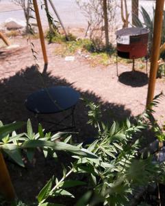 hostal alyaras