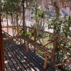 hostal alyaras