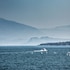 desenzano del garda