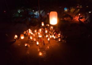 Palm Beach Bungalow Resort,On The Beach,3 star