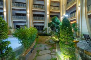 the night hotel