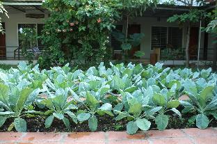 my parents guesthouse