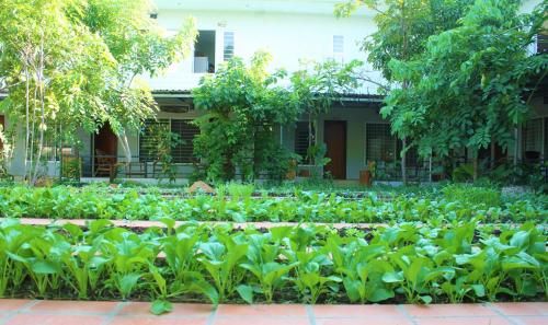 my parents guesthouse
