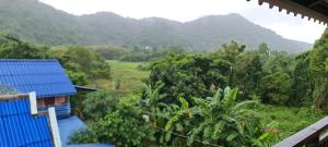 khmer house guesthouse