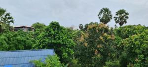 khmer house guesthouse