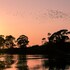 stung treng