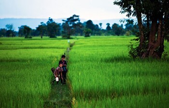 Sabara Angkor Resort & Spa,Boxville Siem Reap>>Siem Reap,5 star