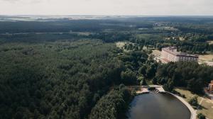 boroviki