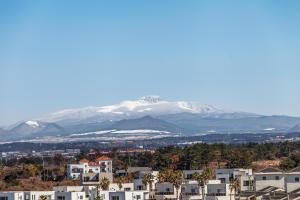 bluespring boutique hotel