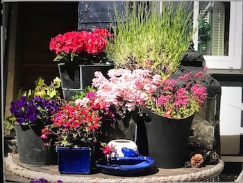 Hotell Backagarden,Skåne County>>Ystad,3 star