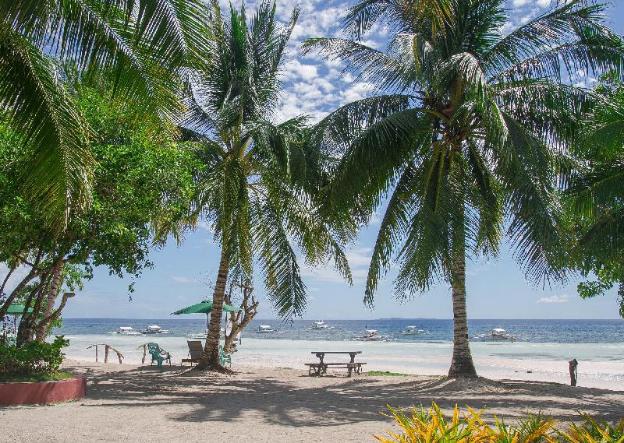 panglao grande resort