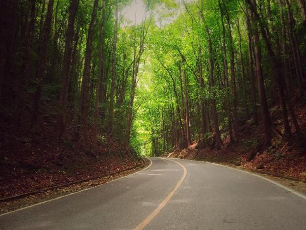 panglao grande resort