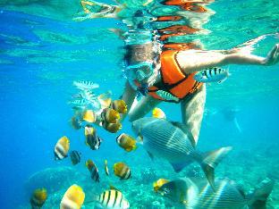 panglao grande resort