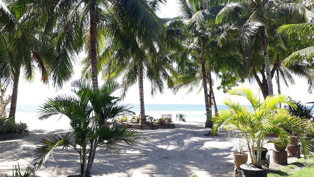 panglao grande resort