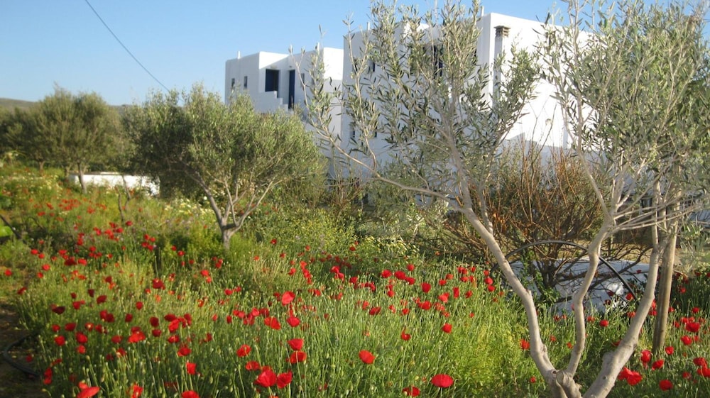 naxos