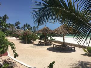 Jafferji Beach Retreat,Kaskazini A>>Dongwe,4 star