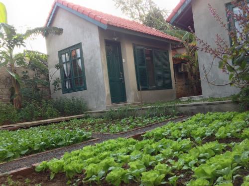 tam coc eco house