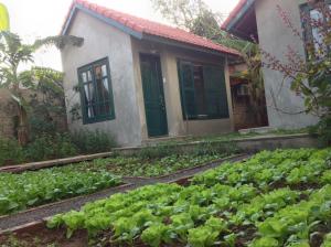 tam coc eco house