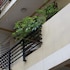 phong lan guesthouse