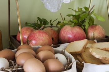 elaion terra boutique guesthouse