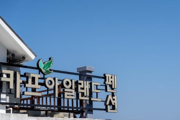 yeosu carp island pension