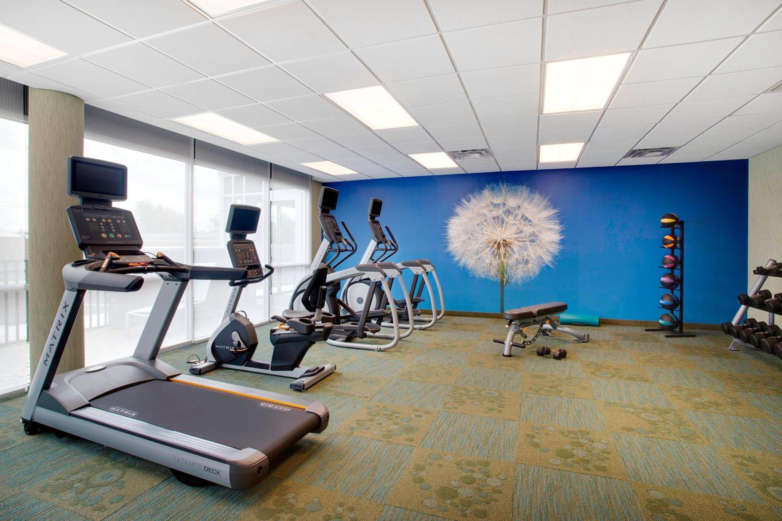 springhill suites by marriott murray