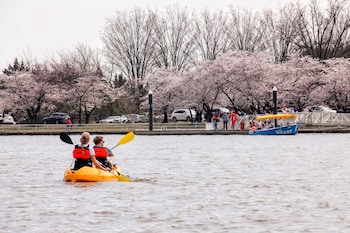 intercontinental washington d c the wharf by ihg
