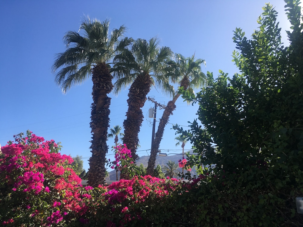inn at palm springs