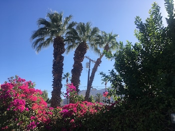 inn at palm springs