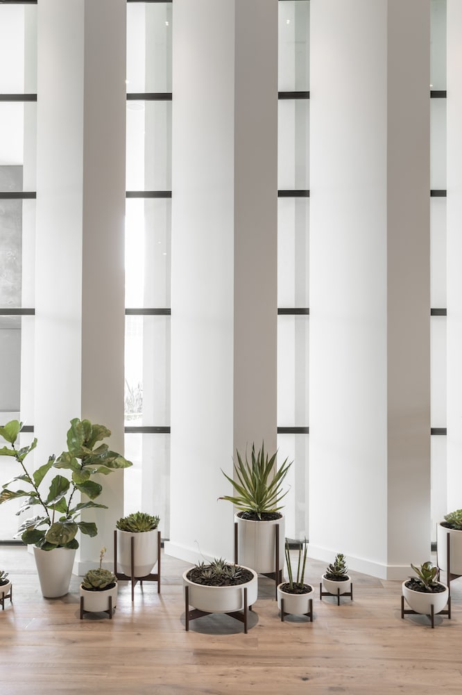 kimpton everly hotel hollywood by ihg