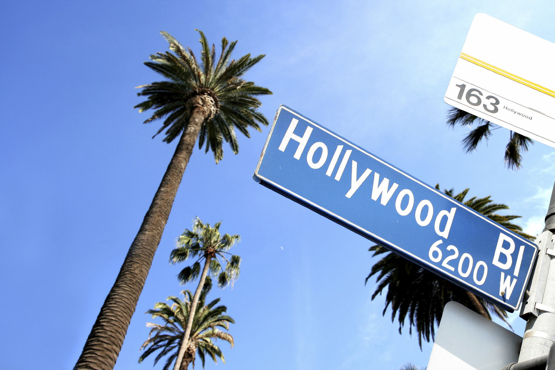 kimpton everly hotel hollywood by ihg