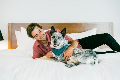 the maven hotel at dairy block