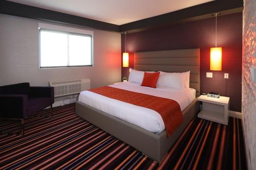 lexen hotel hollywood walk of fame