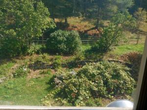 No View Farm Inn & Bakery,Newry>>Bethel,3 star