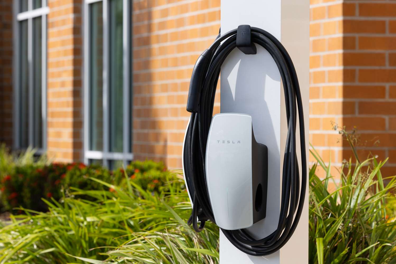 hampton inn by hilton plant city