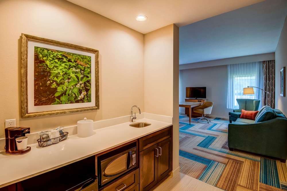 hampton inn by hilton plant city