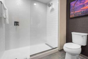 cambria hotel downtown asheville