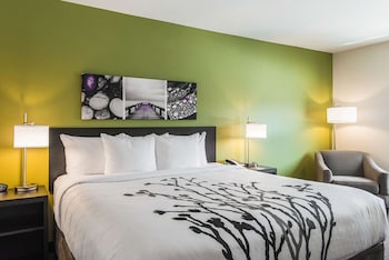 sleep inn and suites