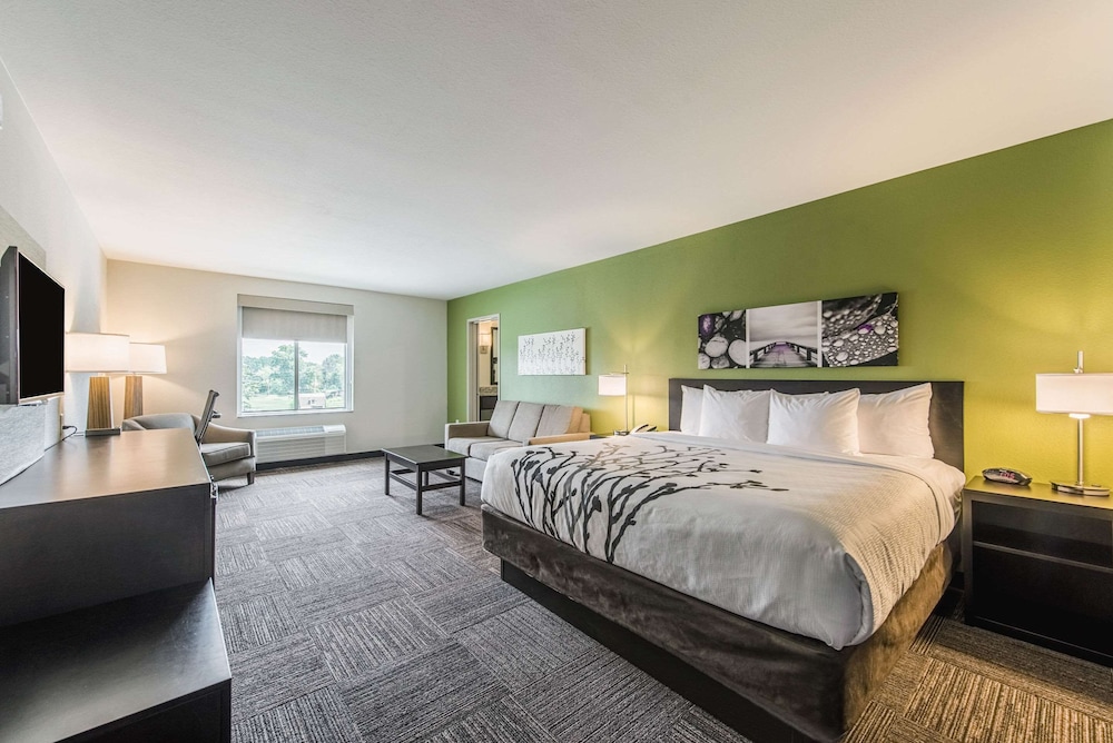 sleep inn and suites
