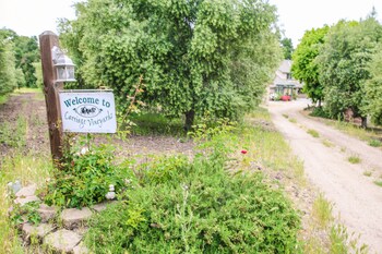 the eden house vineyard bed and breakfast