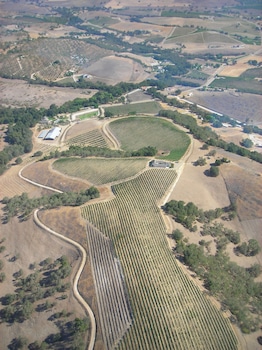 the eden house vineyard bed and breakfast