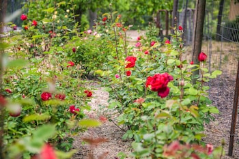 the eden house vineyard bed and breakfast