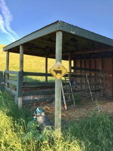 the eden house vineyard bed and breakfast