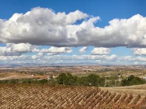 the eden house vineyard bed and breakfast