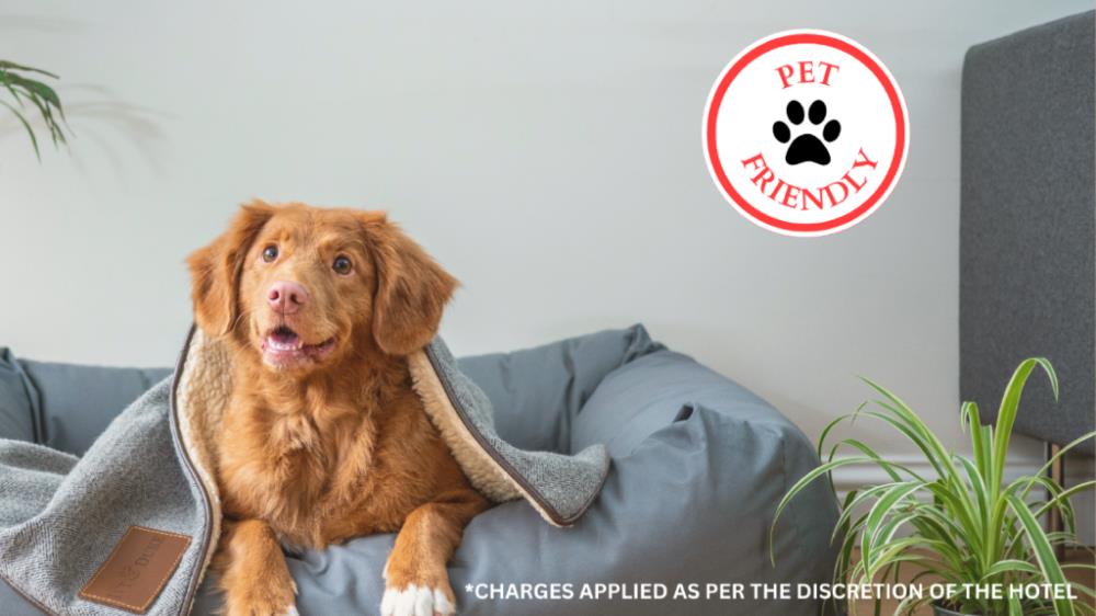 holiday motel lordsburg by oyo