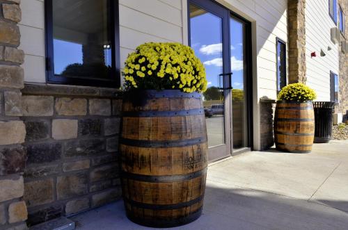 cobblestone inn and suites manning