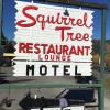 squirrel tree resort